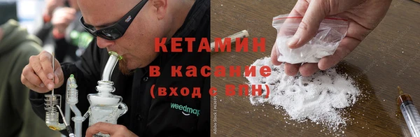 прущие крисы Бородино