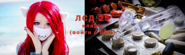 прущие крисы Бородино