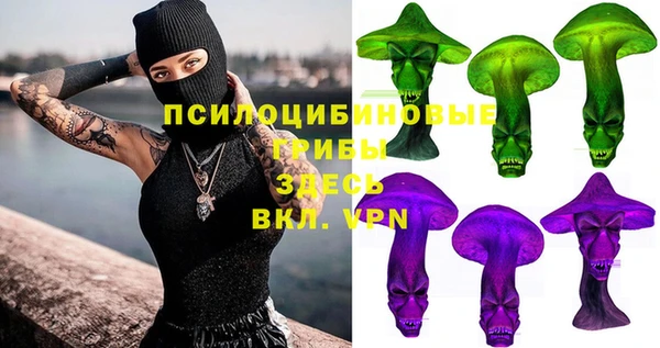 прущие крисы Бородино