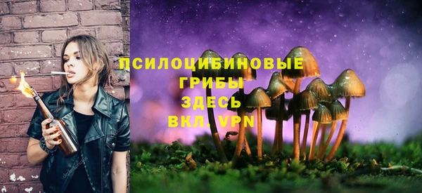 прущие крисы Бородино