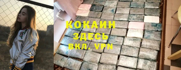 прущие крисы Бородино