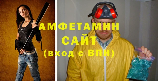 прущие крисы Бородино
